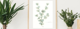 Aquarellbild Eucalyptus